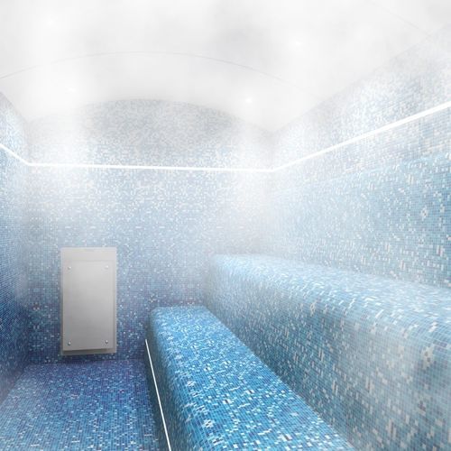 土耳其浴室蒸汽发生器 - ULTRASTEAM® - Cleopatra World of Wellness