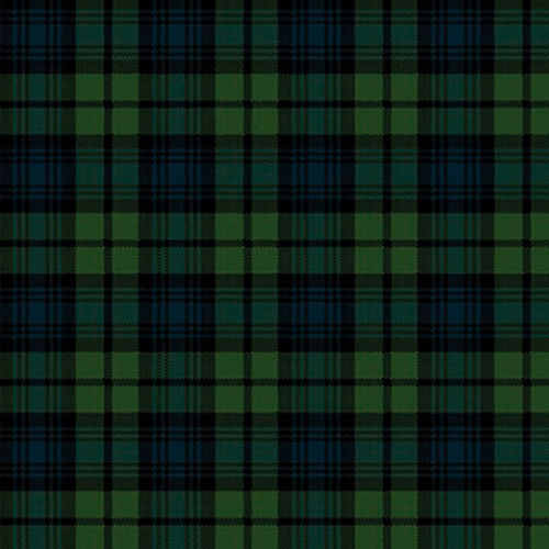 编织满铺地毯 - BLACK WATCH TARTAN  - STEVENS AND GRAHAM - 羊毛 / 尼龙 / 商业