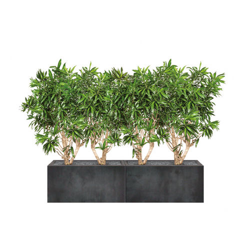 石材花坛 - DRACAENA - Artaqua - 长方形 / 模块化 / 现代风格