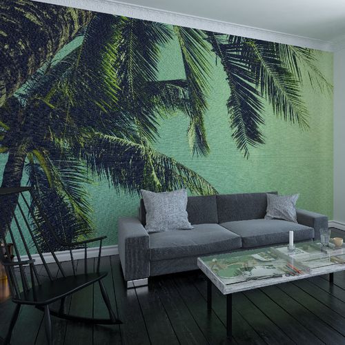 现代风格墙纸 - PALM TREE - HD WALLS - 无纺布 / 乙烯基 / 自然图案