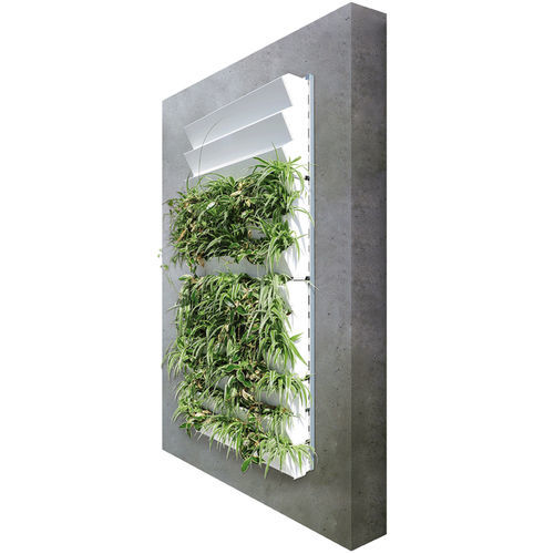 稳定植物墙 - ADAM - Richard Brink GmbH & Co KG - 模块化板 / 用于外墙 / 模块结构