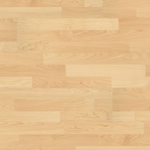 HDF高密度板强化地板 - 300 : CANADIAN MAPLE  - windmöller flooring products WFP GmbH - 对夹式 / 仿木 / 家用