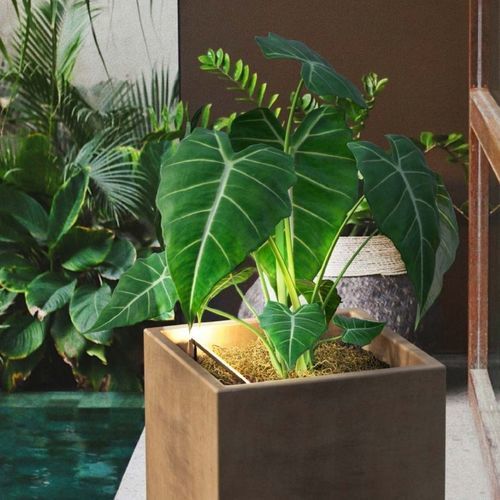 LED式射灯 - Herstera Garden S.L. - 线性 / 花园 / 家用