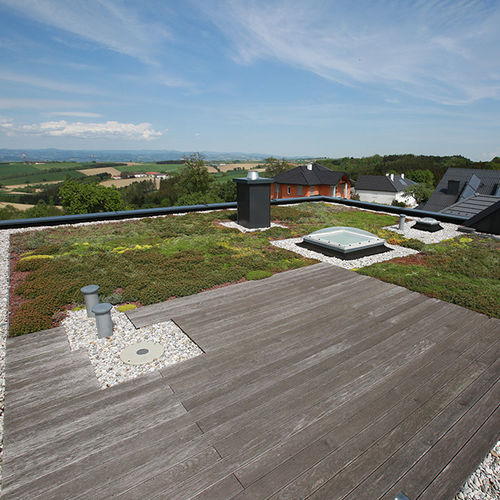 平屋顶植被屋顶 - MONSUN GmbH - 外延 / 强度型 / 斜屋面