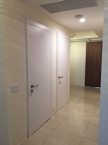 室内门 - FUSION LINE - Dayoris doors - 木制贴皮 / 平开 / 实心
