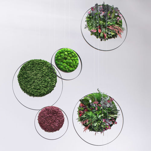 稳定植物画框 - RINGS - Greenmood - 苔藓 / 树叶 / 室内