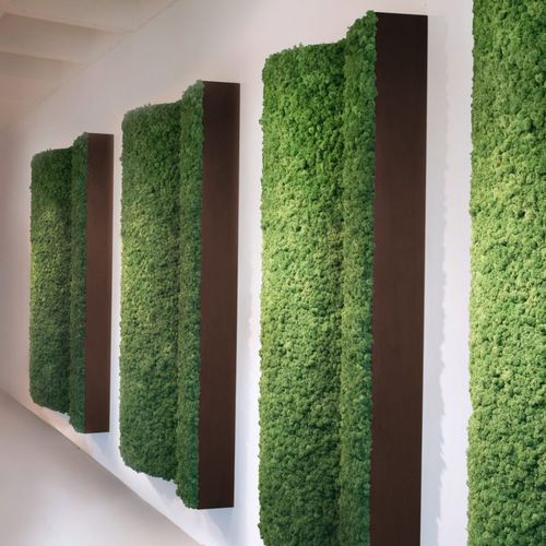 稳定绿植墙 - ANGLED PILLARS - Greenmood - 模块化板 / 天然 / 苔藓