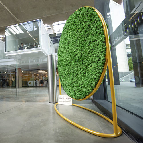 稳定植物画框 - G-SCREENS - Greenmood - 苔藓 / 树叶 / 永生苔藓