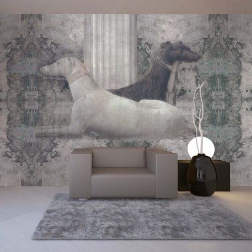 现代风格墙纸 - PIERO DELLA FRANCESCA - Skinwall - 布料 / 乙烯基 / 动物图案