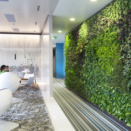 稳定绿植墙 - Green Urban Life GmbH - 模块化板 / 天然 / 室内