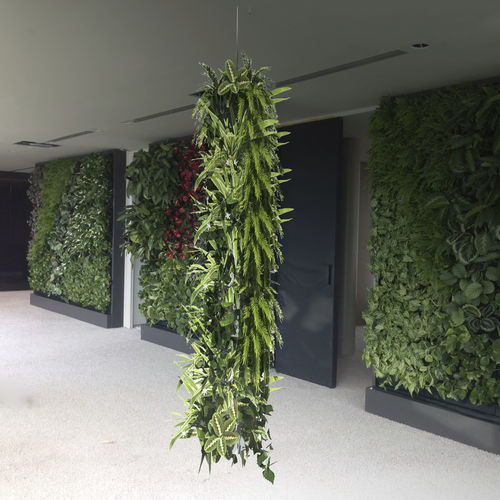 稳定绿植墙 - HANGING GREEN - Green Urban Life GmbH - 室内