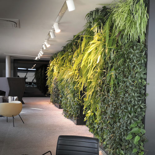 稳定绿植墙 - VERTICAL  - Green Urban Life GmbH - 活植物 / 模块化板 / 定制