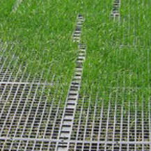 地基加固土工网格 - GEORUNNER® TURF - Presto Geosystems - 用于地基 / 聚合物