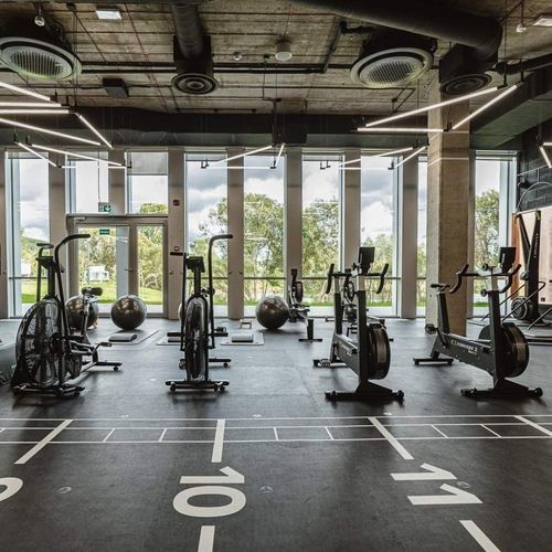 橡胶地板 - ENDURANCE - Pavigym - 室内 / 用于运动场 / 专业