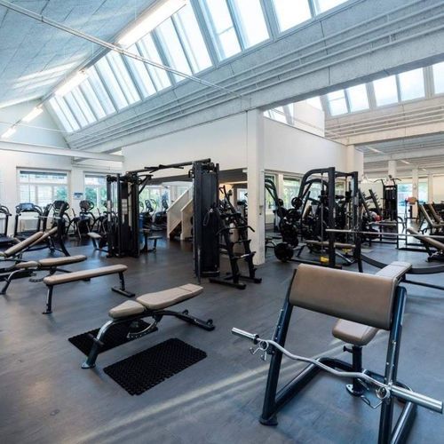 橡胶地板 - ENDURANCE S&S - Pavigym - 室内 / 用于运动场 / 专业