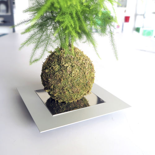 钢植物支架 - IT8903 - dESIGNoBJECT - 装饰性 / 白色
