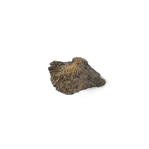 黄铜家具把手 - FUNGI EA1032 - PullCast - 拉绒 / 抛光 / 做旧
