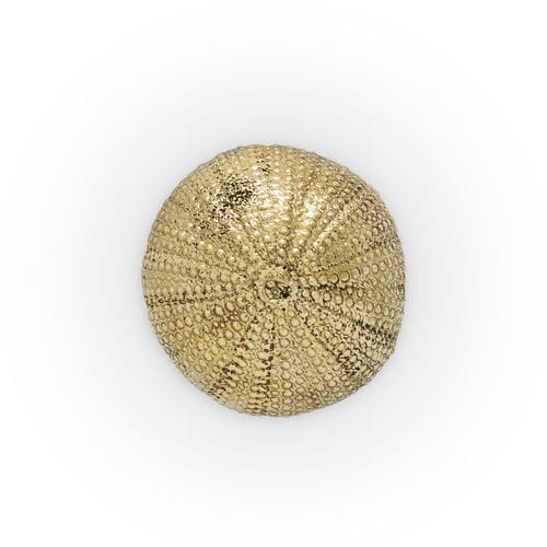 现代风格圆形家具把手 - URCHIN OC2026 - PullCast - 磨砂黄铜 / 抛光黄铜 / 老黄铜