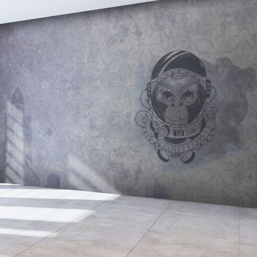 现代风格墙纸 - SPACE MONKEY - WallyArt - 无纺布 / 玻璃纤维 / 乙烯基