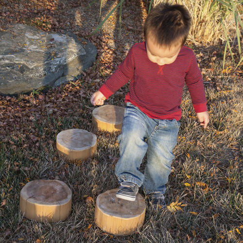 游乐障碍训练器材 - WOOD STEPPING SLICE - Nature of Early Play
