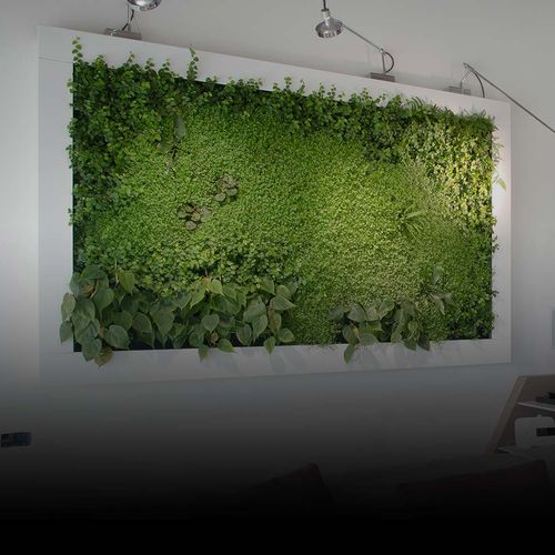稳定植物画框 - SUNDAR ITALIA - 苔藓 / 天然 / 树叶