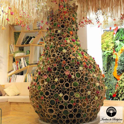 家庭菜园 - THE MAJESTIC BAMBOO BAOBAB - Jardins de Babylone