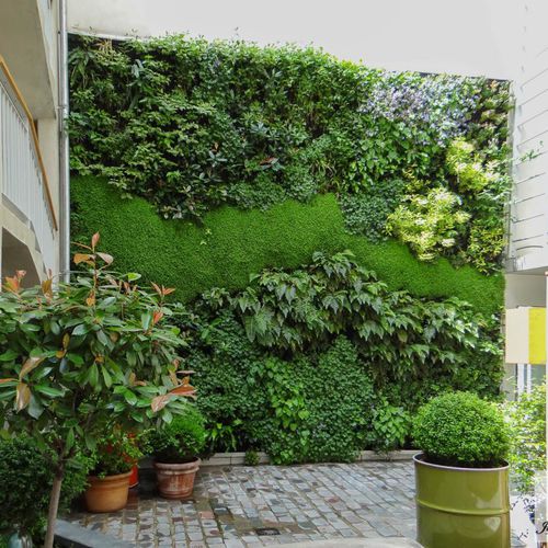 稳定绿植墙 - JULES AND JIM HOTEL PARIS - Jardins de Babylone - 模块化板 / 天然 / 苔藓