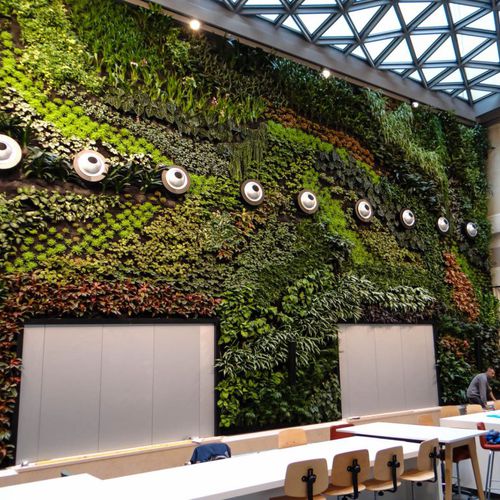 稳定绿植墙 - CRÉDIT AGRICOLE IMMOBILIER - Jardins de Babylone - 天然 / 室内 / 花园