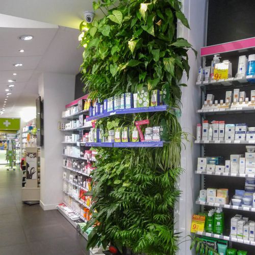 稳定绿植墙 - BASIRE PHARMACY - Jardins de Babylone - 模块化板 / 天然 / 树叶
