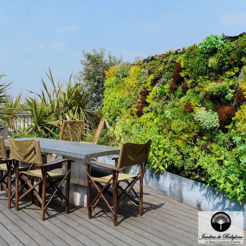 植被屋顶 - HEADING TO THE MEDITERRANEAN! - Jardins de Babylone