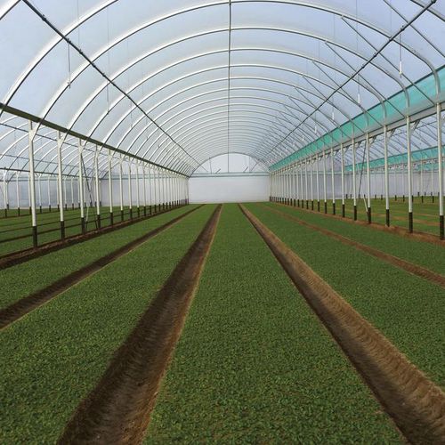 商用温室 - BALTIQUE 8M AND 9,60M - Serres Jrc - 花园 / 多尖顶 / 塑料