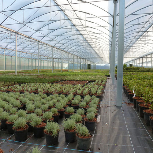 商用温室 - 9.60M ATLANTIQUE HORTICULTURAL - Serres Jrc - 花园 / 多尖顶 / 铝合金框架