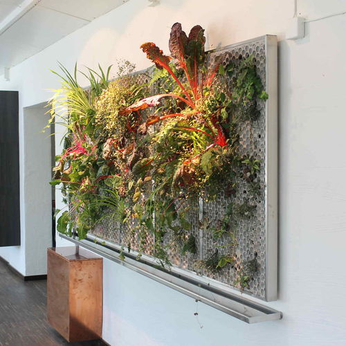 稳定植物画框 - VERTICAL - butong - 花卉 / 室内 / 模块化板