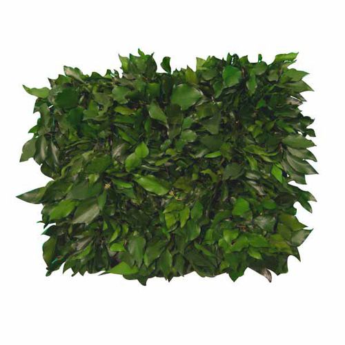 树脂花坛 - FVS-501-16 - green Habitat - 长方形 / 模块化 / 立式
