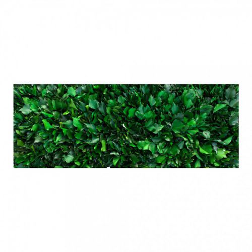 稳定绿植墙 - GVS-500-16 - green Habitat - 模块化板 / 天然 / 室内