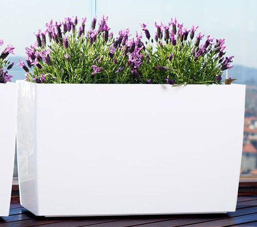 聚丙烯花坛 - MARBELLA BOX  - Artevasi, S.A - 长方形 / 带轮 / 带自动浇水