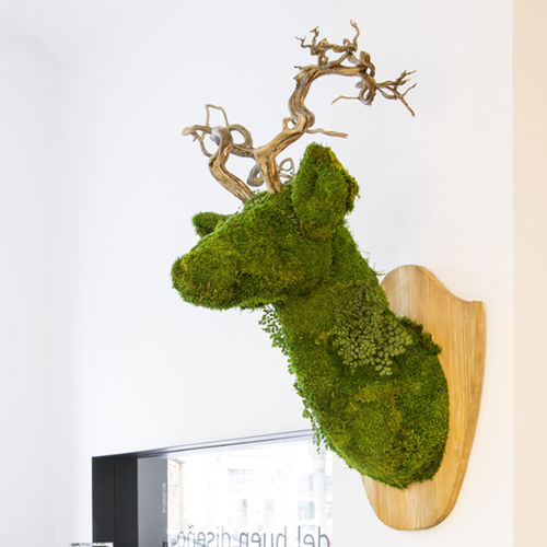 稳定植物画框 - ANIMOSS - DEERMOSS - Greenarea - 苔藓 / 室内 / 壁挂式