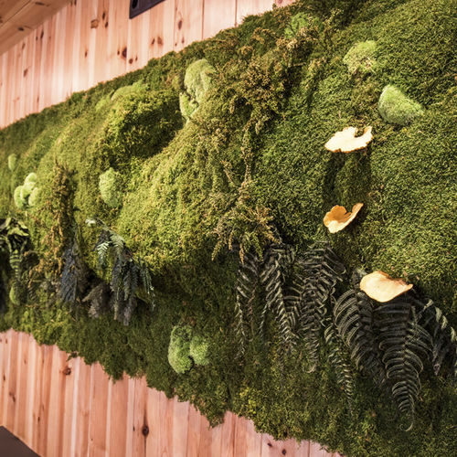 墙面隔音板 - MOSS&PLANTS MID - Greenarea - 保鲜植物 / 矩形 / 办公室