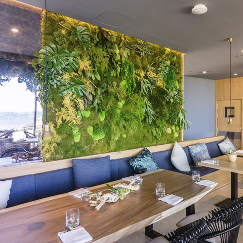家庭菜园 - MOSS&PLANTS MID - Greenarea