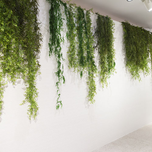 稳定園藝植物 - MOSS&PLANTS HANGING PLANT - Greenarea - 悬挂式 / 室内