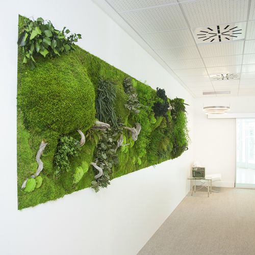 墙面隔音板 - MOSS&PLANTS MID 3D - Greenarea - 保鲜植物 / 矩形 / 布艺