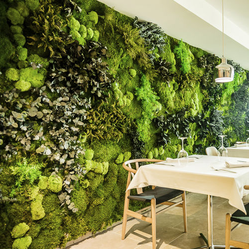 稳定绿植墙 - Moss&Plants Mid - Greenarea - 模块化板 / 天然 / 苔藓