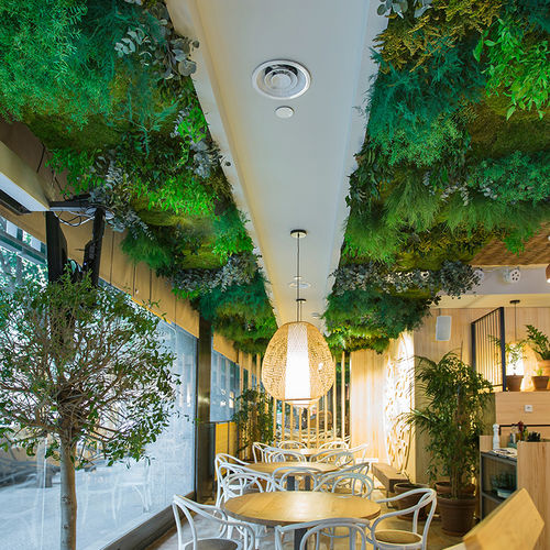 吊顶扣板 - MOSS&amp;PLANTS MID FINISH - Greenarea - 带绿化植物 / 装饰