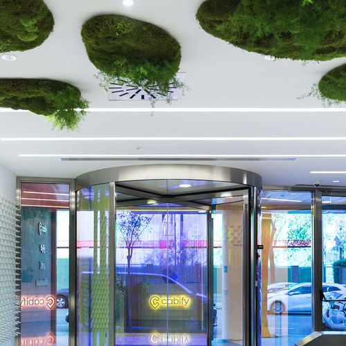 吊顶扣板 - MOSS&PLANTS MID - Greenarea - 带绿化植物 / 装饰
