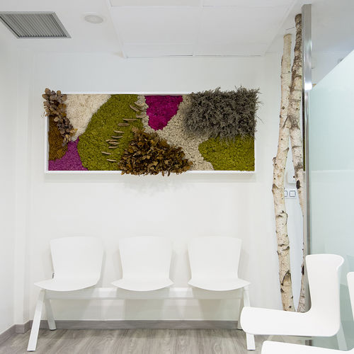 稳定植物画框 - CUSTOM+PLANTS - Greenarea - 苔藓 / 树叶 / 永生苔藓
