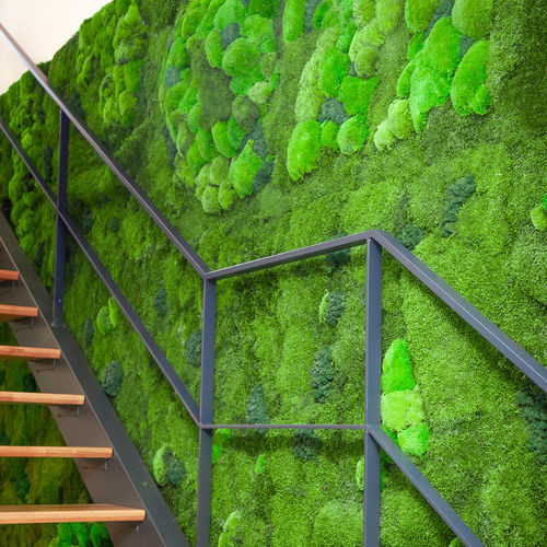 稳定垂直花园 - BASIC MOSS - Greenarea - 苔藓 / 室内 / 生物气候