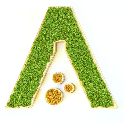 稳定植物画框 - MOSS IDENTITY - Greenarea - 永生苔藓 / 室内 / 定制