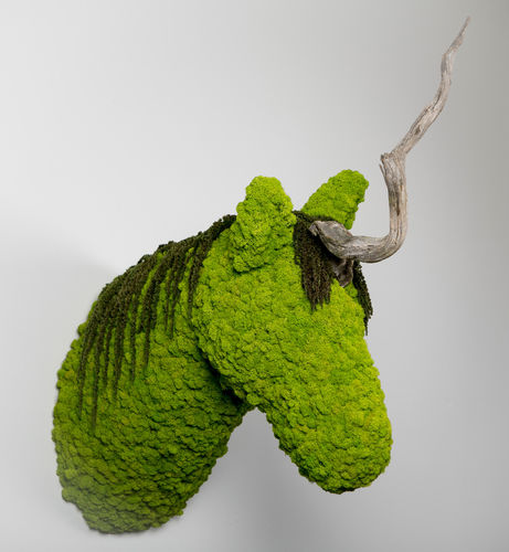 稳定植物画框 - ANIMOSS - UNI.CORN - Greenarea - 苔藓 / 永生苔藓 / 室内