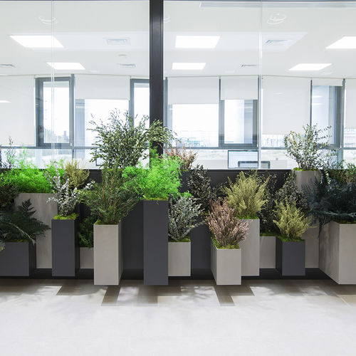 稳定園藝植物 - MOSS&amp;PLANTS PLANTERS - Greenarea - 小尺寸 / 中型 / 大型