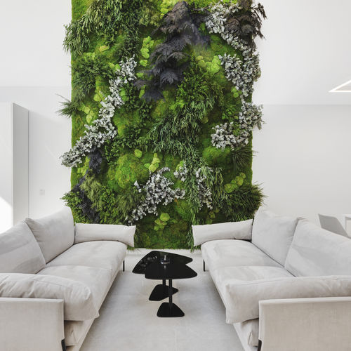 稳定绿植墙 - MOSS&PLANTS MID - Greenarea - 模块化板 / 定制 / 树叶